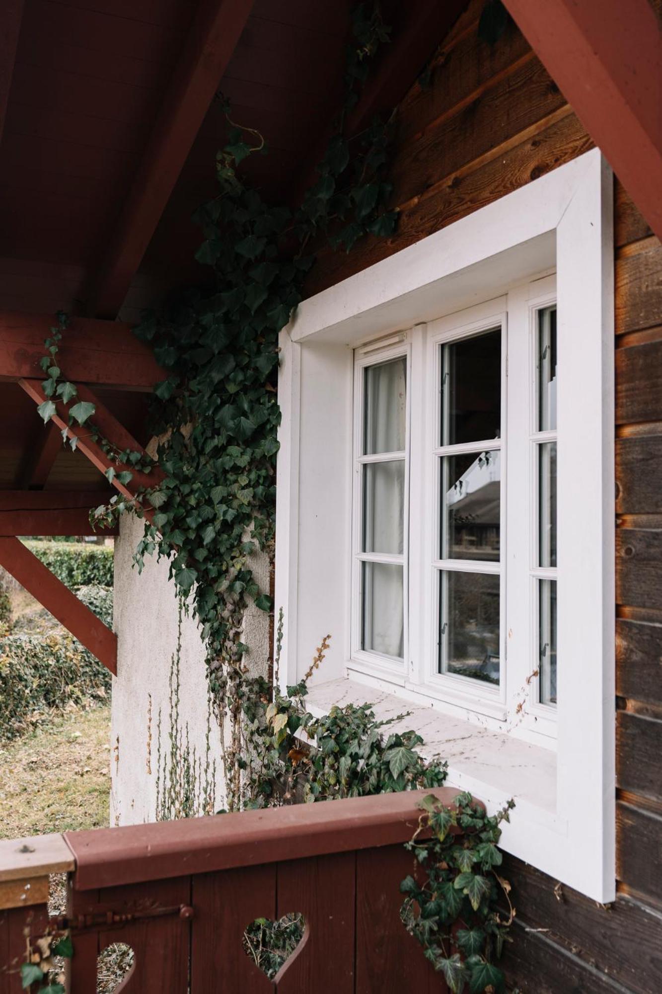 La Verniaz Et Ses Chalets 에비앙레스벵즈 외부 사진